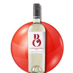 Sauvignon Blanc Reserva