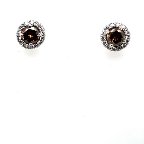 Brown Diamond Studs with Diamond Halo in 14KWG